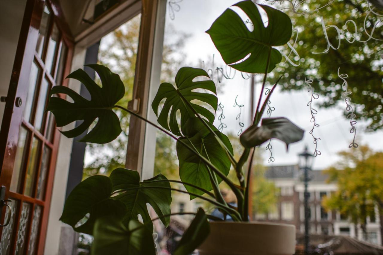 Elderflour Guesthouse & Microbakery Schiedam Exteriör bild